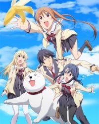 Aho Girl