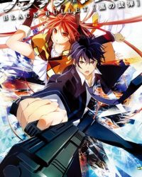 Black Bullet