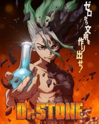 Dr. Stone