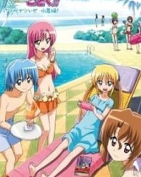 Hayate no Gotoku!!: Atsu ga Natsuize – Mizugi-hen!