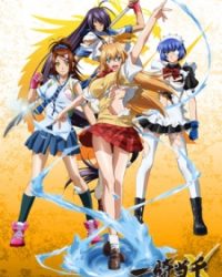 Ikkitousen: Xtreme Xecutor