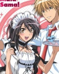 Kaichou wa Maid-sama!: Goshujinsama to Asonjao♥