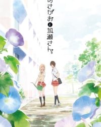 Kimi No Hikari: Asagao To Kase-San