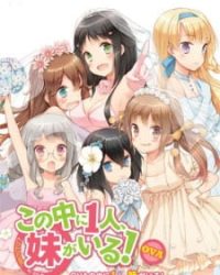 Kono Naka ni Hitori, Imouto ga Iru!: Ani, Imouto, Koibito