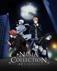 Ninja Collection