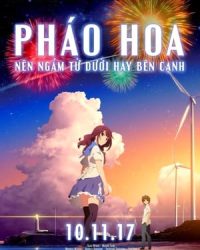 Pháo Hoa, Nên Ngắm Từ Dưới Hay Bên Cạnh?