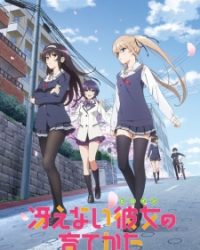 Saenai Heroine no Sodatekata