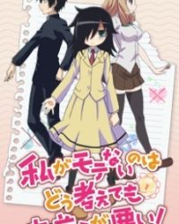 Watashi ga Motenai no wa Dou Kangaetemo Omaera ga Warui OVA