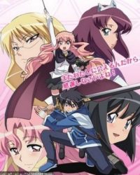 Zero no Tsukaima: Futatsuki no Kishi